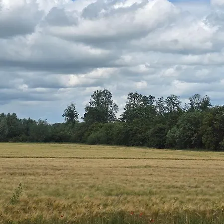 Storchennest Вадерсло